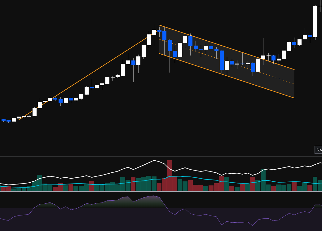 Bull flag example
