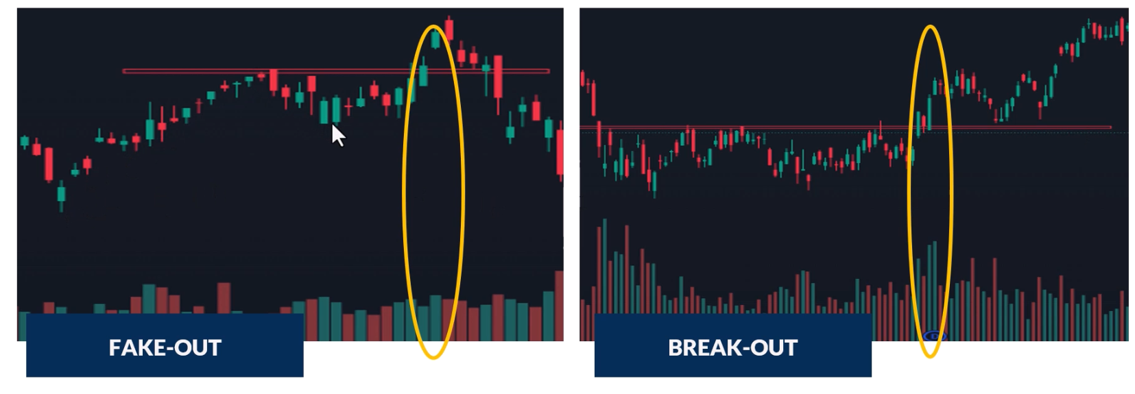 Price volume chart